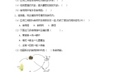 小学科学人教鄂教版 (2017)六年级上册6 食物链当堂达标检测题