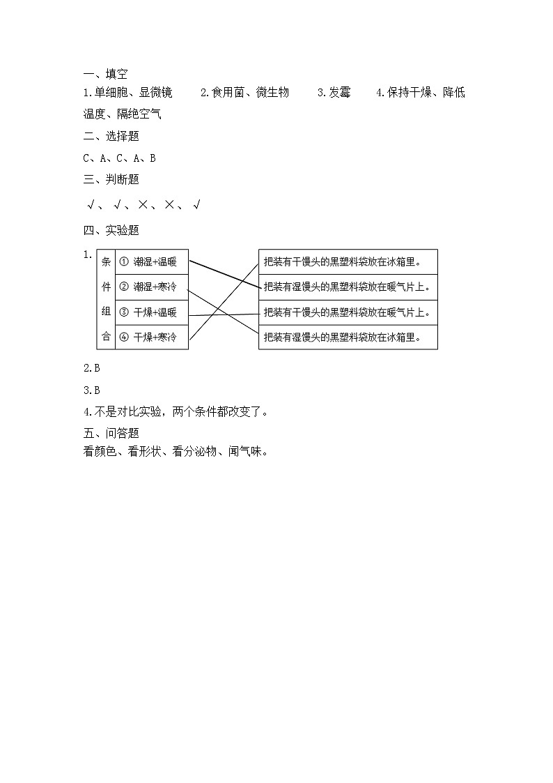 新青岛版科六三制六年级上册第二单元测试题参考答案2第1页