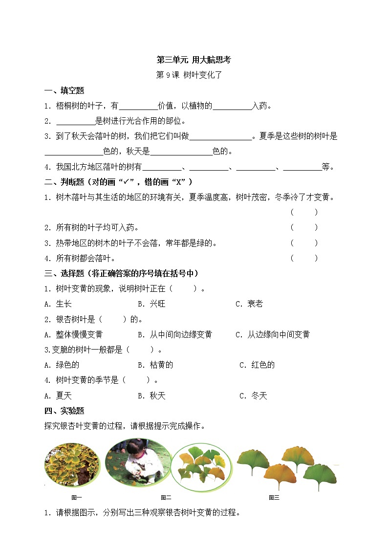 【科学苏教版】一年级上册第三单元第9.课树叶变化了一课一练(含答案)01