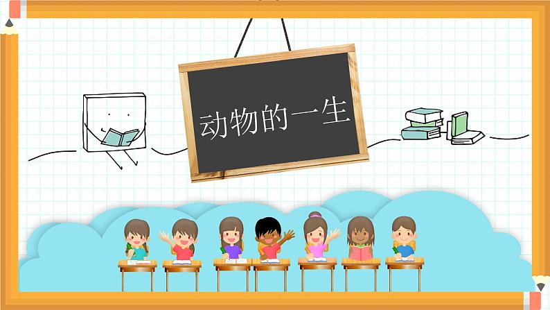 动物的一生课件01