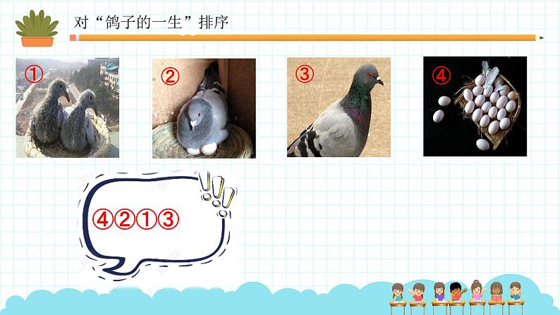 动物的一生课件02