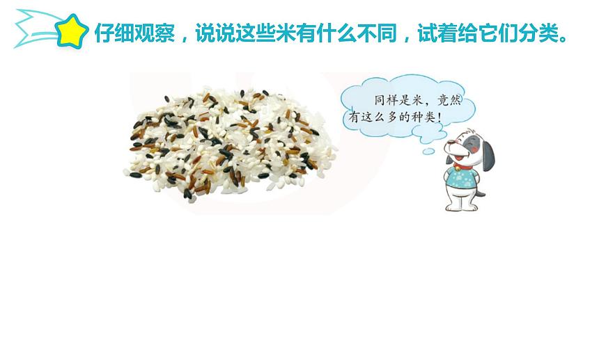 第二單元 遺傳與變異 6.生物的變異課件第5頁