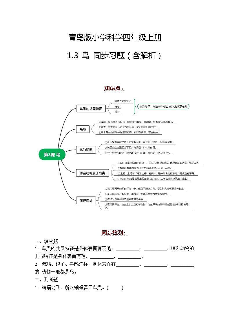 新青島版科學(xué)四年級上冊 1.3鳥 習(xí)題第1頁