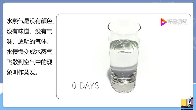 青岛版科学 蒸发 课件第5页