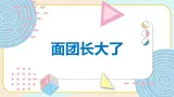 青岛版四上科学 24 面团长大了 课件PPT+视频素材