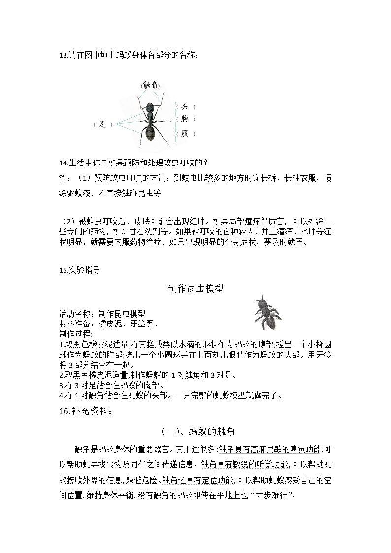 青岛版四年级科学上册 第一单元《动物王国》单元复习讲义02