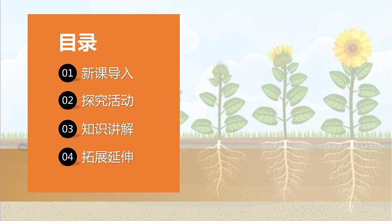 青岛版科学(2017)六三制三年级上册2.6《植物的根》教学课件02
