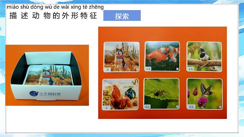 2.1《我们知道的动物》课件 第5页
