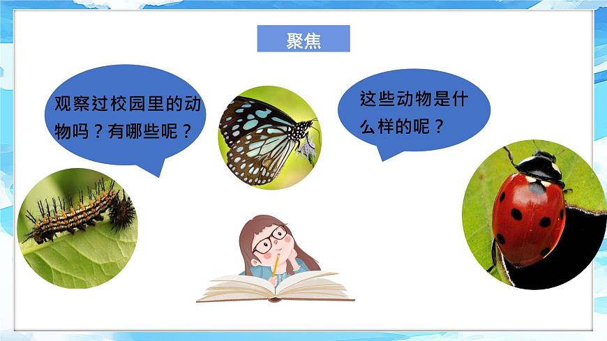 2-2《校園里的動物》課件 第3頁