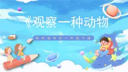 2.3《观察一种动物》课件+教案+教学流程图+视频素材