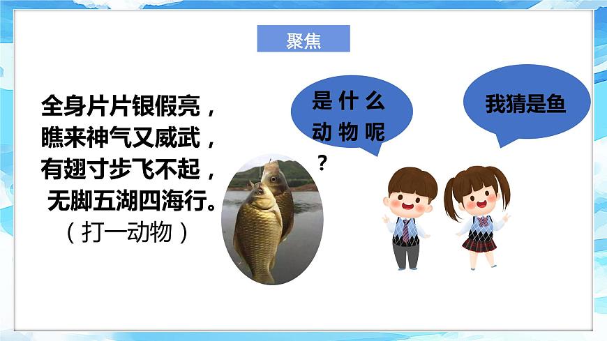 2.5《觀察魚(yú)》課件 第3頁(yè)