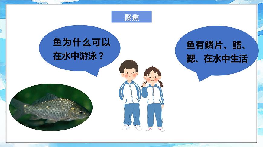 2.5《觀察魚(yú)》課件 第4頁(yè)