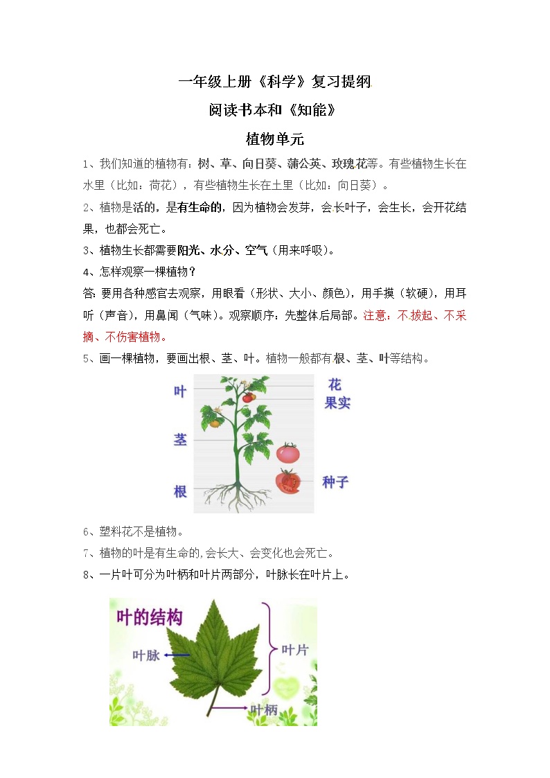 【复习提纲】一年级上册科学-第一单元 植物 教科版