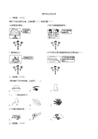 教科版科学一年级上册期中综合全练全测（含答案解析）