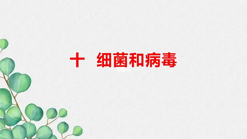 青岛版(五四制)五年级上册科学10细菌和病毒 (课件+素材)01