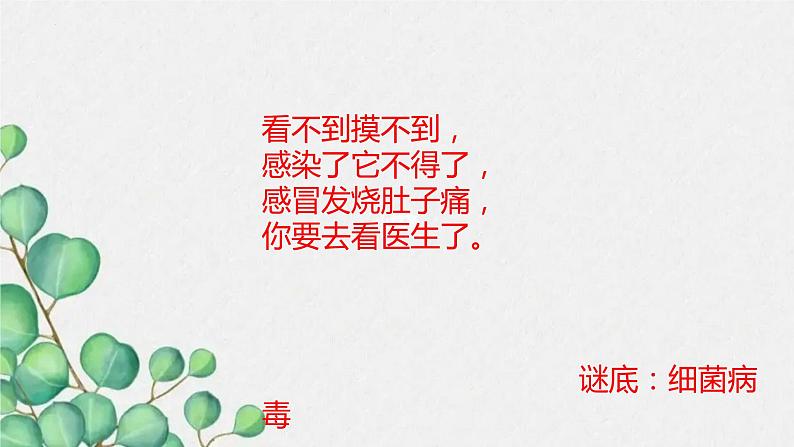 青岛版(五四制)五年级上册科学10细菌和病毒 (课件+素材)02