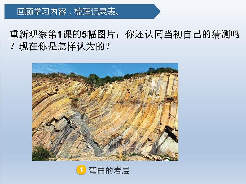 五年级上册科学2.7总结我们的认识(教科版)第5页