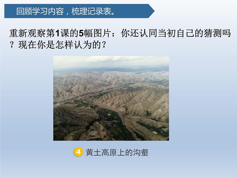 五年级上册科学2.7总结我们的认识(教科版)第8页