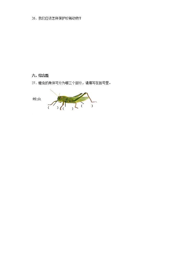 人教版四年级上册科学第一单元质量考查测试题多样的动物(二)含答案03