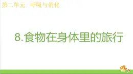 教科版四年级上册科学课件2.8食物在身体里的旅行优质课件