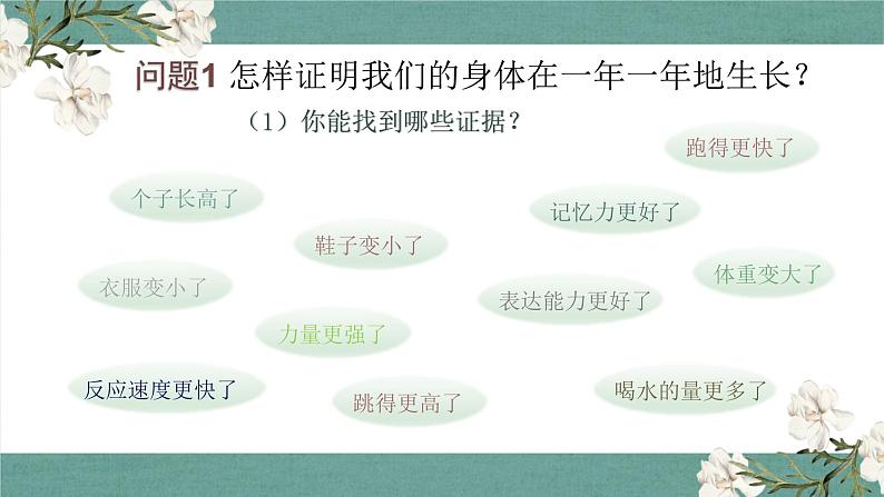 二下2.5 发现生长 课件第3页