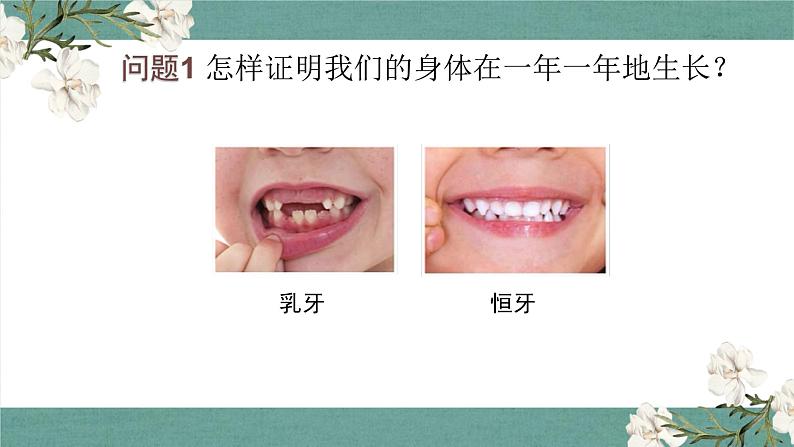 二下2.5 发现生长 课件第4页