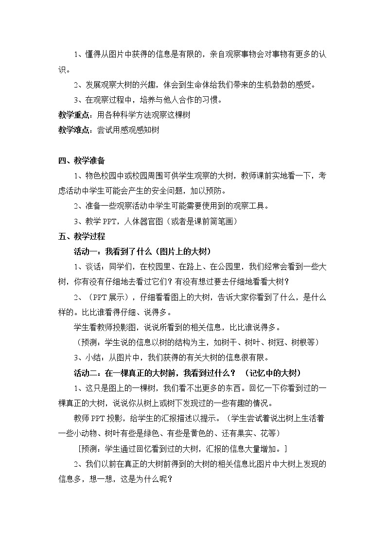 三上《我看到了什么》教学设计第2页