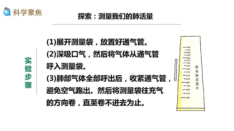 教科版四年级上册科学2.3测量肺活量优质课件05