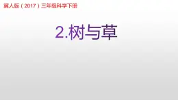 冀人版三年级下科学2.树与草课件