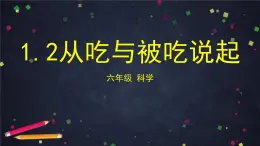 湘科版科学六年级上册1.2从吃与被吃说起（教学课件）