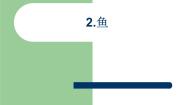 青岛版 (六三制2017)2 鱼优秀ppt课件