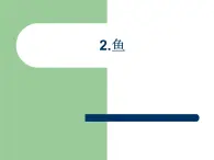 青岛版四年级上科学2《鱼》课件