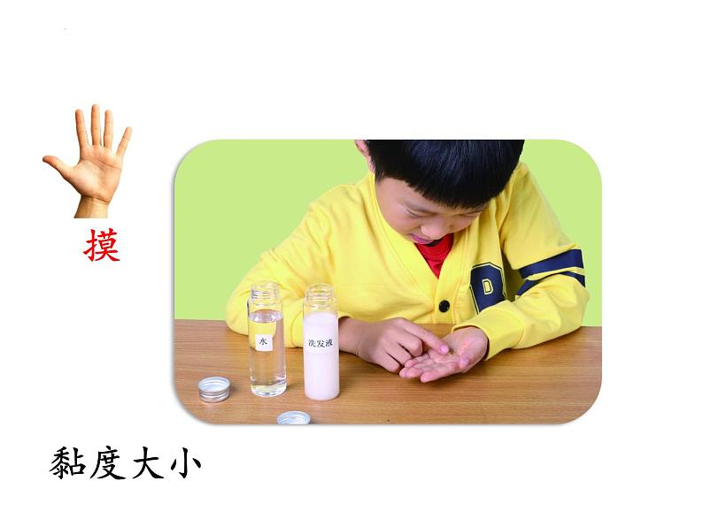 教科版一年级下册科学1.5.《观察一瓶水》教学课件第6页
