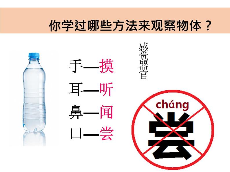 教科版一年级下册科学1.5.《观察一瓶水》教学课件第7页