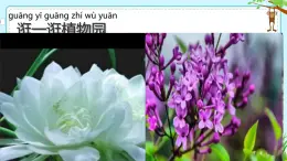 教科版一年级上册科学1《我们知道的植物》教学课件