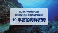 小学科学冀人版 (2017)六年级上册19 丰富的海洋资源教学演示课件ppt