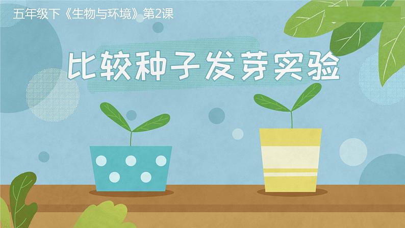教科版五年级下册科学1.2比较种子发芽实验(教科版) 课件01