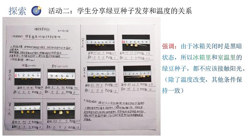 教科版五年级下册科学1.2比较种子发芽实验(教科版) 课件05