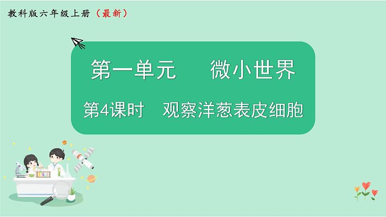 第4课时  观察洋葱表皮细胞第1页