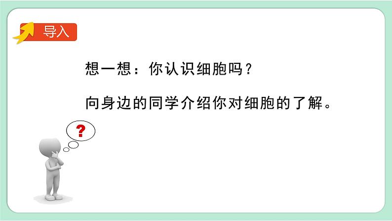 第4课时  观察洋葱表皮细胞第2页