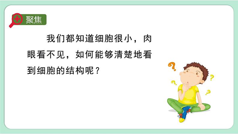 第4课时  观察洋葱表皮细胞第3页
