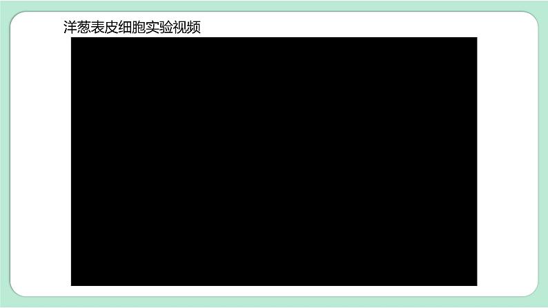 第4课时  观察洋葱表皮细胞第4页