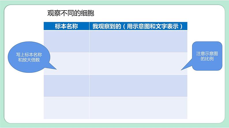 第5课时 观察更多的生物细胞第8页
