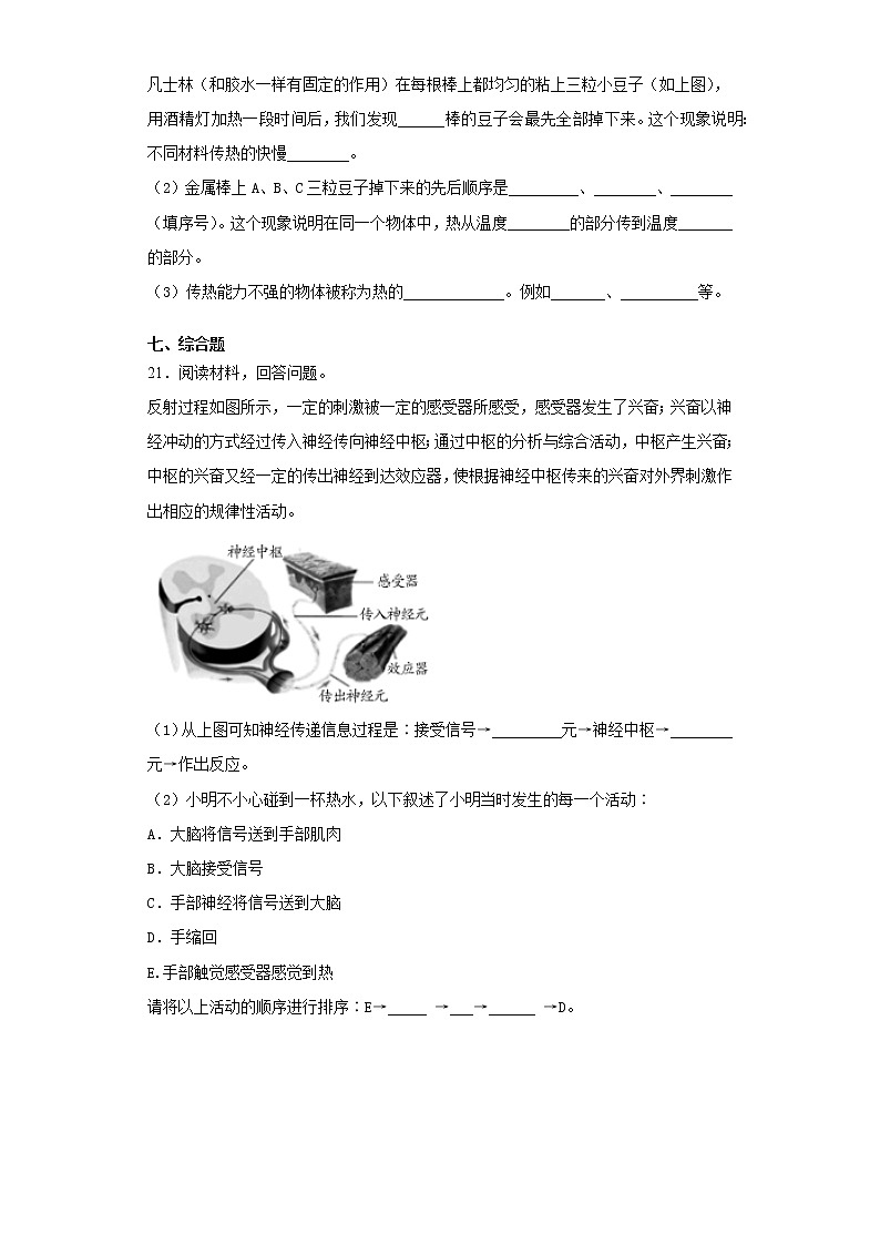 大象版科学五年级上册期末综合练习 (含答案)第3页