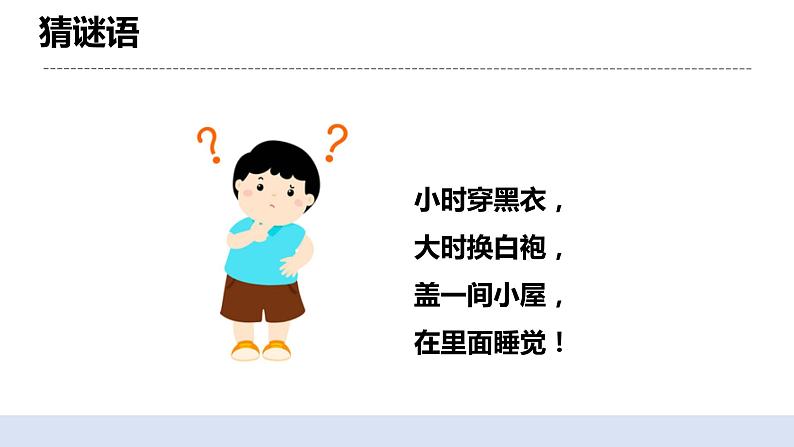 2.1迎接蚕宝宝的到来 课件第2页