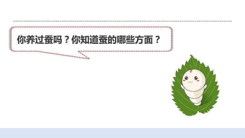 2.1迎接蚕宝宝的到来 课件第3页