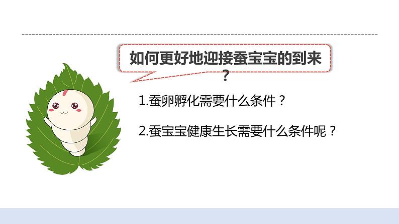 2.1迎接蚕宝宝的到来 课件第8页