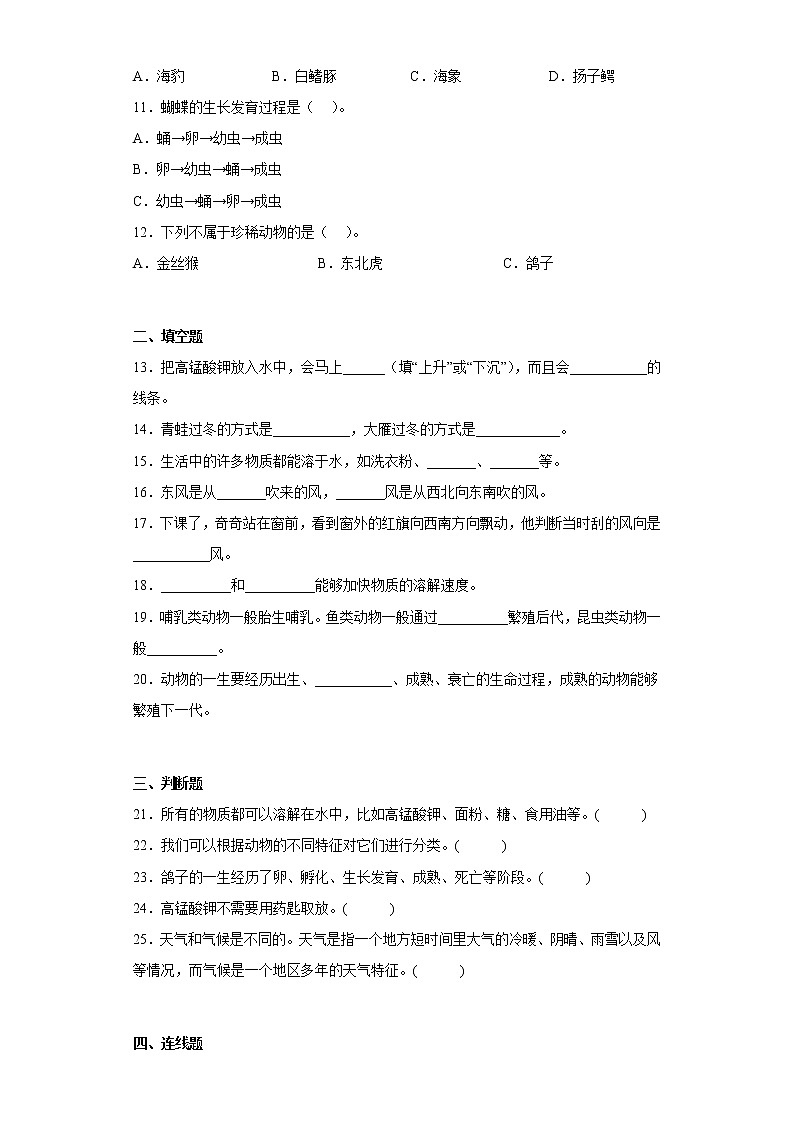 大象版三年级科学上册期中过关测试题(二)含答案02
