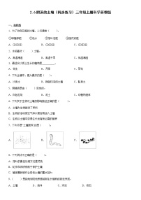 苏教版 (2017)三年级上册6 肥沃的土壤练习题