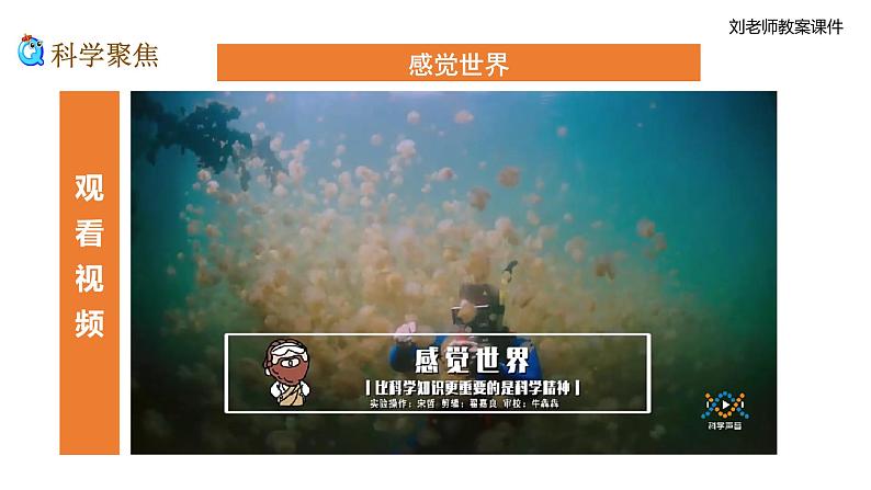 新教科版科学四年级上册1.4《我们是怎样听到声音的》教案+课件+视频02
